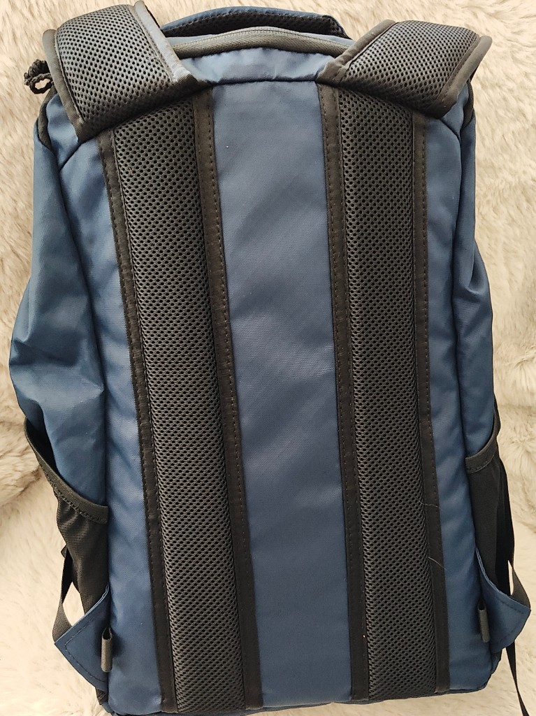 Cicada 0426 back panel and shoulder straps