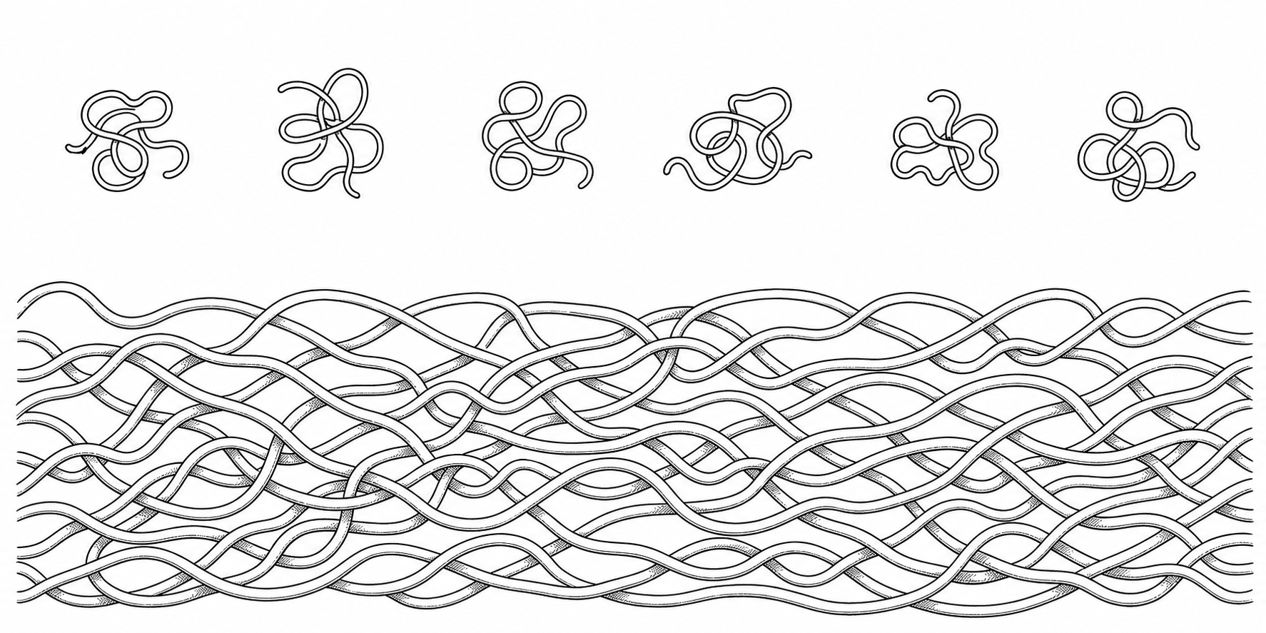 Molecular chain length comparison